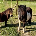 Chateau Du Mesnil Soleil , Domaine De Charme Et D'hotes * Damblainville