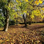 بيت للعطل Chateau Du Mesnil Soleil , Domaine De Charme Et D'hotes *
