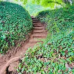 بيت للعطل Chateau Du Mesnil Soleil , Domaine De Charme Et D'hotes *