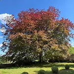 Chateau Du Mesnil Soleil , Domaine De Charme Et D'hotes *