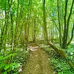 Chateau Du Mesnil Soleil , Domaine De Charme Et D'hotes بيت للعطل *