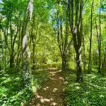 Chateau Du Mesnil Soleil , Domaine De Charme Et D'hotes بيت للعطل *