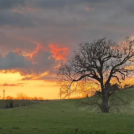 Chateau Du Mesnil Soleil , Domaine De Charme Et Chambres D'Hotes Feriehus *