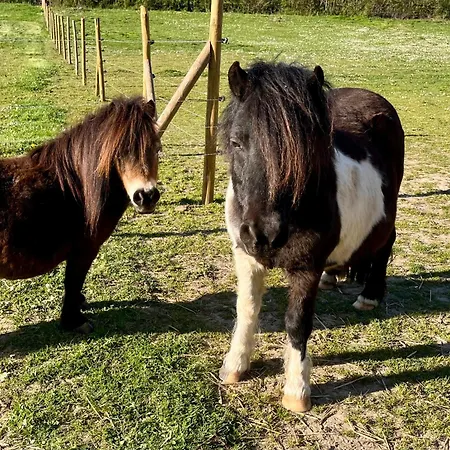 Chateau Du Mesnil Soleil , Domaine De Charme Et Chambres D'Hotes * Damblainville