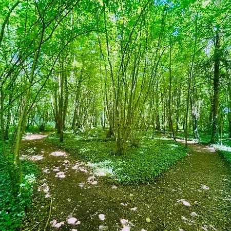 Château du Mesnil Soleil , gites et chambres d'hôtes Casa de Férias *
