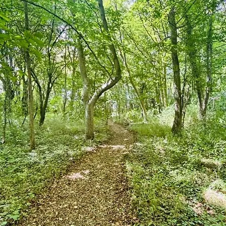 Chateau Du Mesnil Soleil , Domaine De Charme Et Chambres D'Hotes *