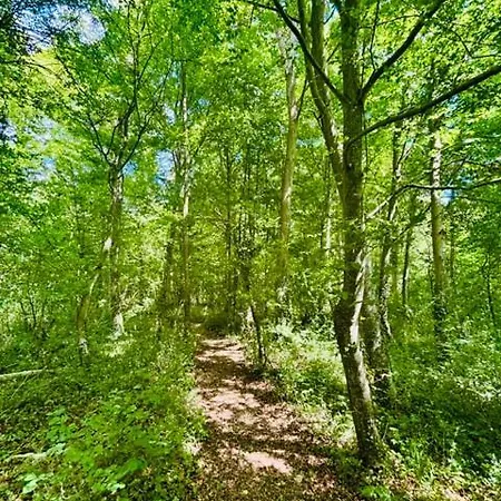 Chateau Du Mesnil Soleil , Domaine De Charme Et Chambres D'Hotes