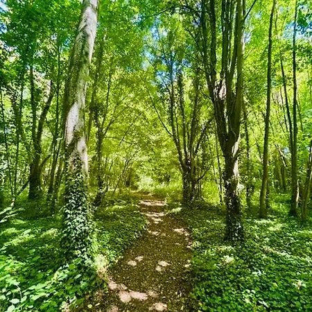 Château du Mesnil Soleil , gites et chambres d'hôtes
