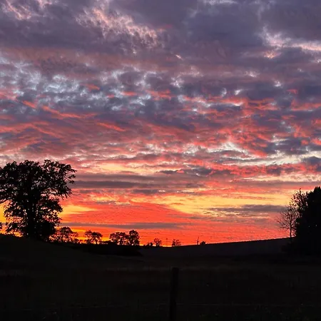 Chateau Du Mesnil Soleil , Domaine De Charme Et Chambres D'Hotes Damblainville