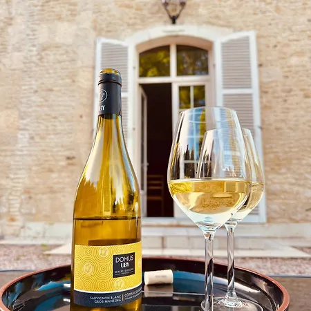 Chateau Du Mesnil Soleil , Domaine De Charme Et D'hotes *