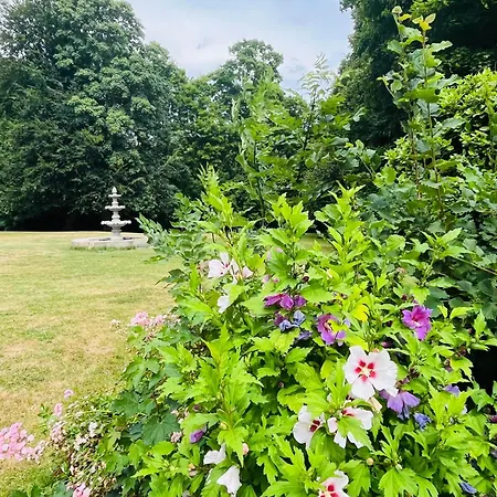 Chateau Du Mesnil Soleil , Domaine De Charme Et Chambres D'Hotes Feriehus Damblainville