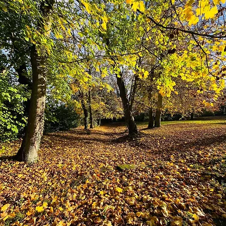 Feriehus Chateau Du Mesnil Soleil , Domaine De Charme Et Chambres D'Hotes *