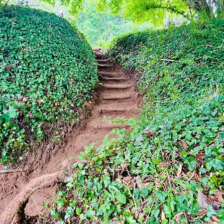 Feriehus Chateau Du Mesnil Soleil , Domaine De Charme Et Chambres D'Hotes *
