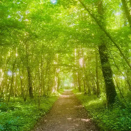 Chateau Du Mesnil Soleil , Domaine De Charme Et Chambres D'Hotes Damblainville