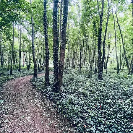 Chateau Du Mesnil Soleil , Domaine De Charme Et Chambres D'Hotes Feriehus *