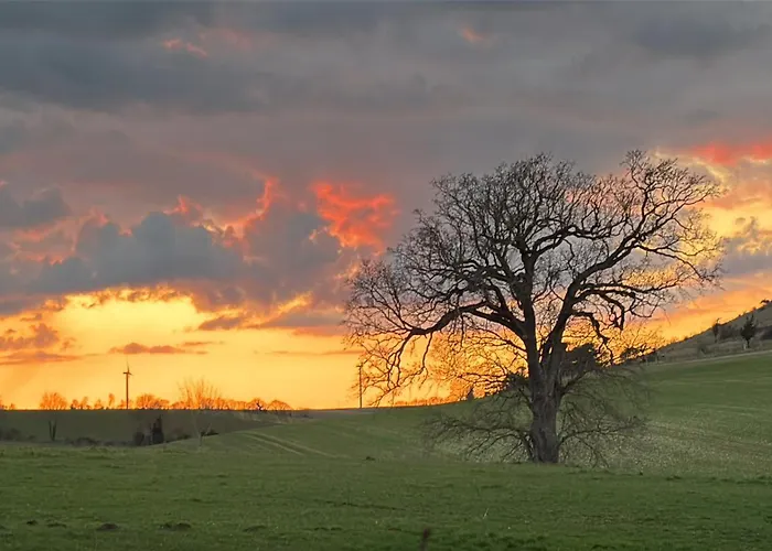 Chateau Du Mesnil Soleil , Domaine De Charme Et D'hotes Ferienhaus *