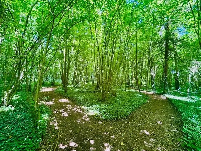 Chateau Du Mesnil Soleil , Domaine De Charme Et D'hotes Ferienhaus *