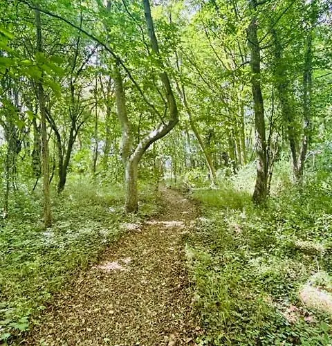 Château Du Mesnil Soleil , Et D'hôtes *