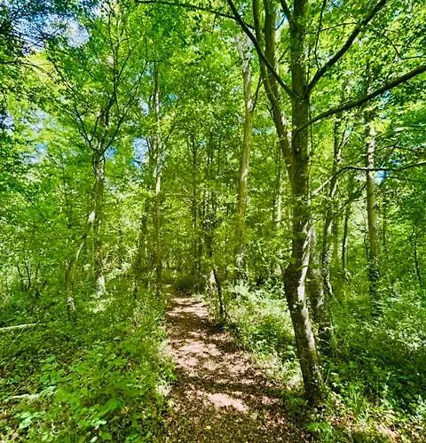 Château Du Mesnil Soleil , Et D'hôtes