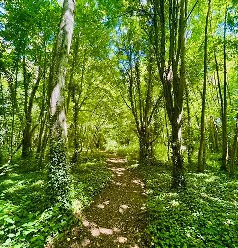 Château Du Mesnil Soleil , Et D'hôtes