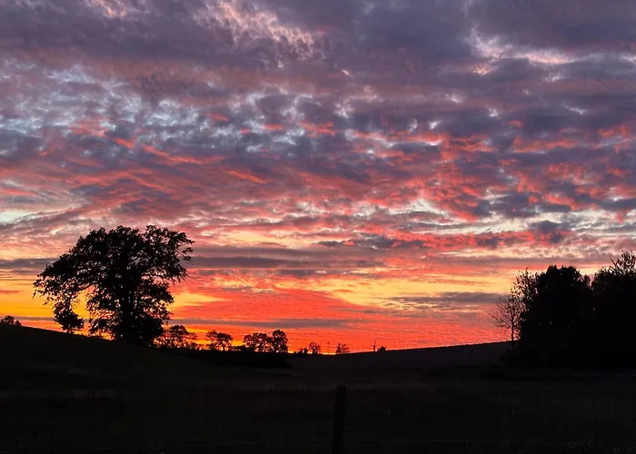 Château Du Mesnil Soleil , Et D'hôtes Damblainville