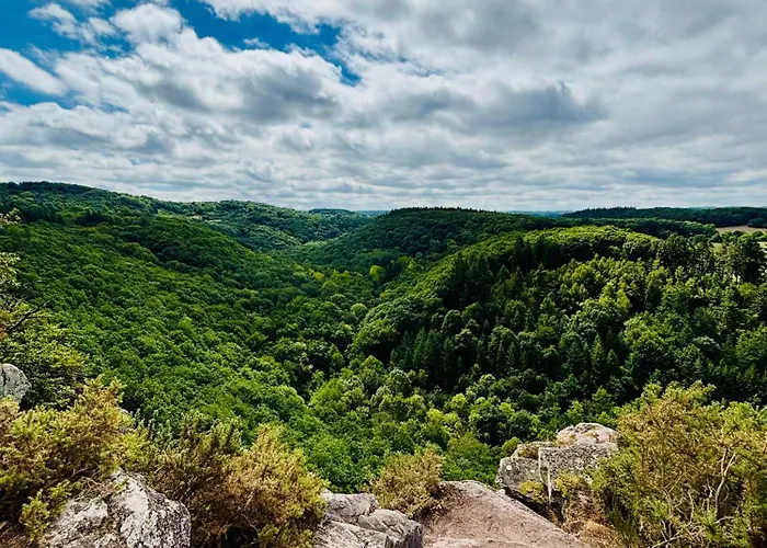Château Du Mesnil Soleil , Et D'hôtes Hébergement de vacances