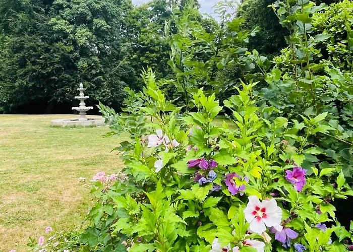 Château Du Mesnil Soleil , Et D'hôtes Hébergement de vacances Damblainville