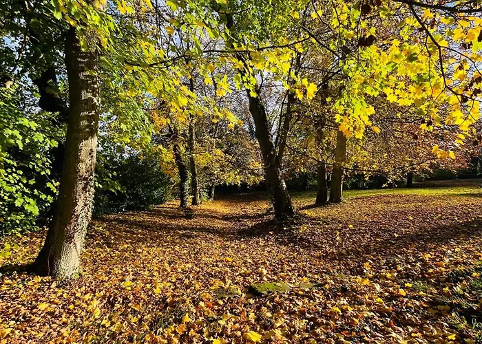Hébergement de vacances Château Du Mesnil Soleil , Et D'hôtes *