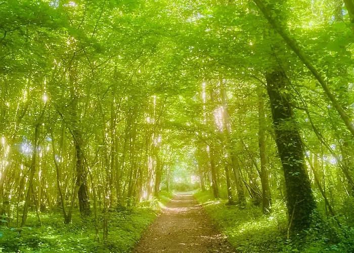 Chateau Du Mesnil Soleil , Domaine De Charme Et D'hotes Damblainville