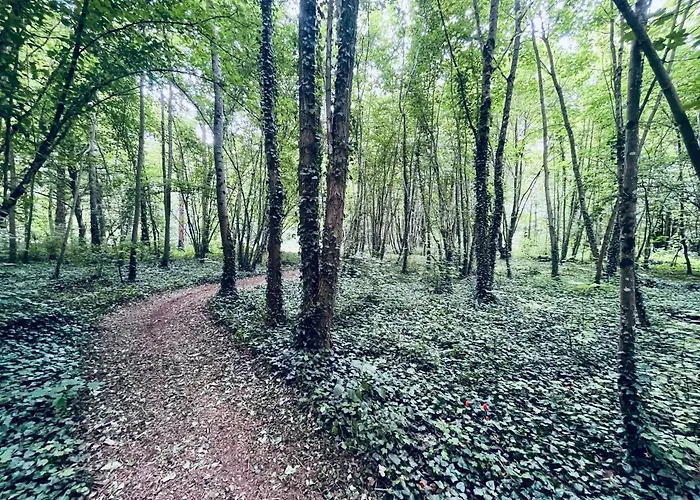 Chateau Du Mesnil Soleil , Domaine De Charme Et D'hotes Ferienhaus *
