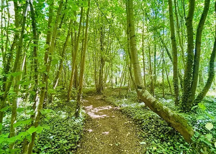 Chateau Du Mesnil Soleil , Domaine De Charme Et D'hotes Ferienhaus *