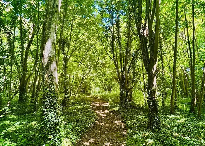 Chateau Du Mesnil Soleil , Domaine De Charme Et D'hotes Ferienhaus *