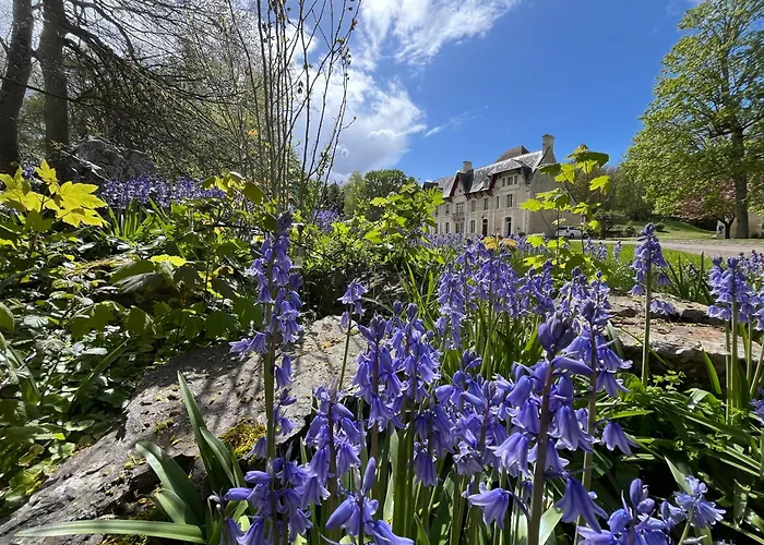 Chateau Du Mesnil Soleil , Domaine De Charme Et D'hotes Ferienhaus