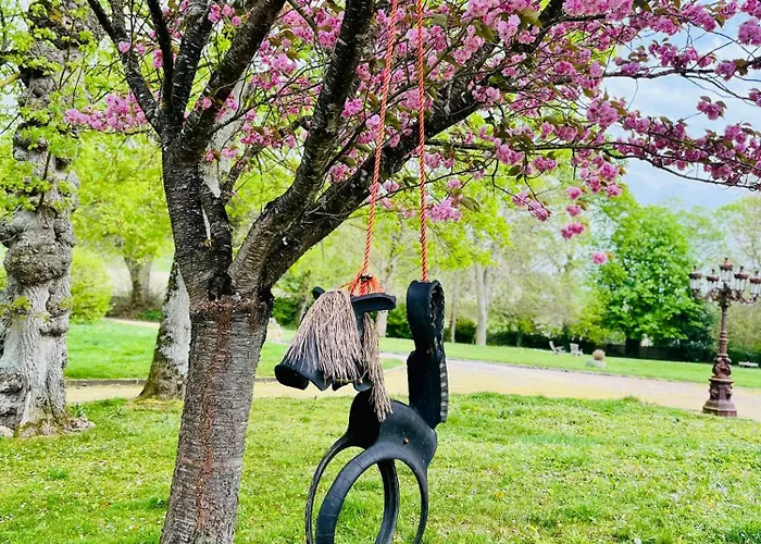 Chateau Du Mesnil Soleil , Domaine De Charme Et D'hotes